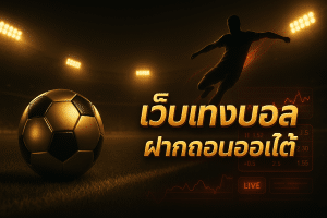 เว็บแทงบอล ฝากถอนออโต้